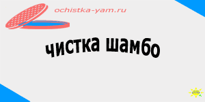чистка шамбо