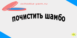 почистить шамбо